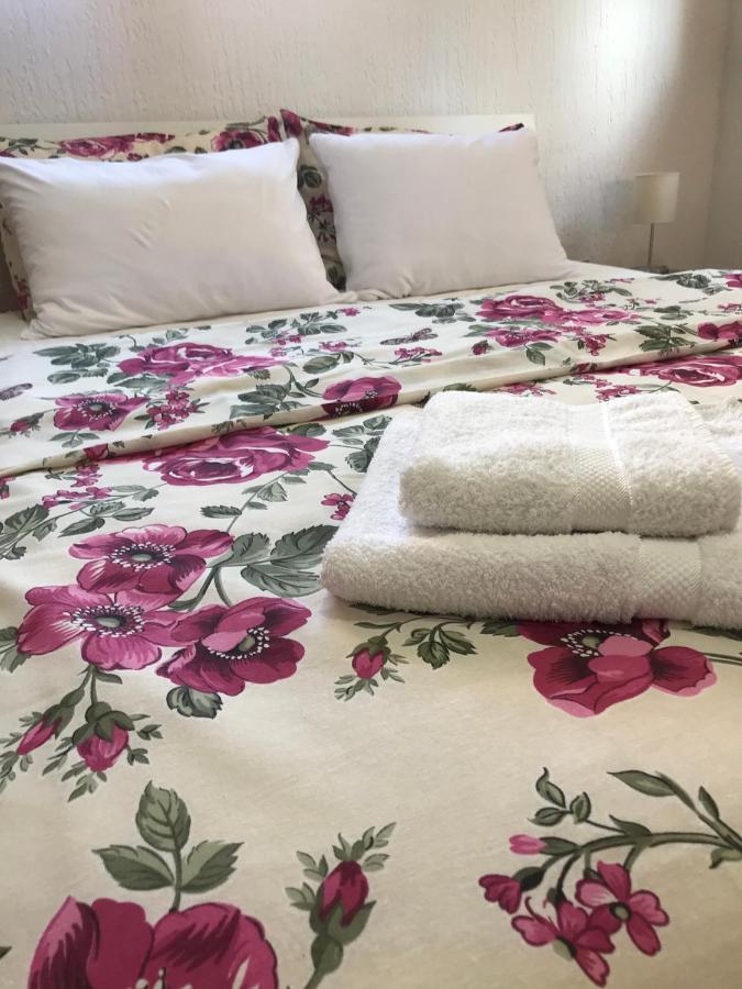 Apartman Studio Milojkovic Golubac Exterior foto