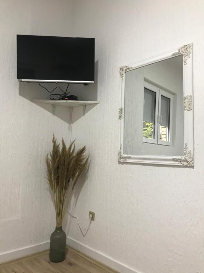 Apartman Studio Milojkovic Golubac Exterior foto
