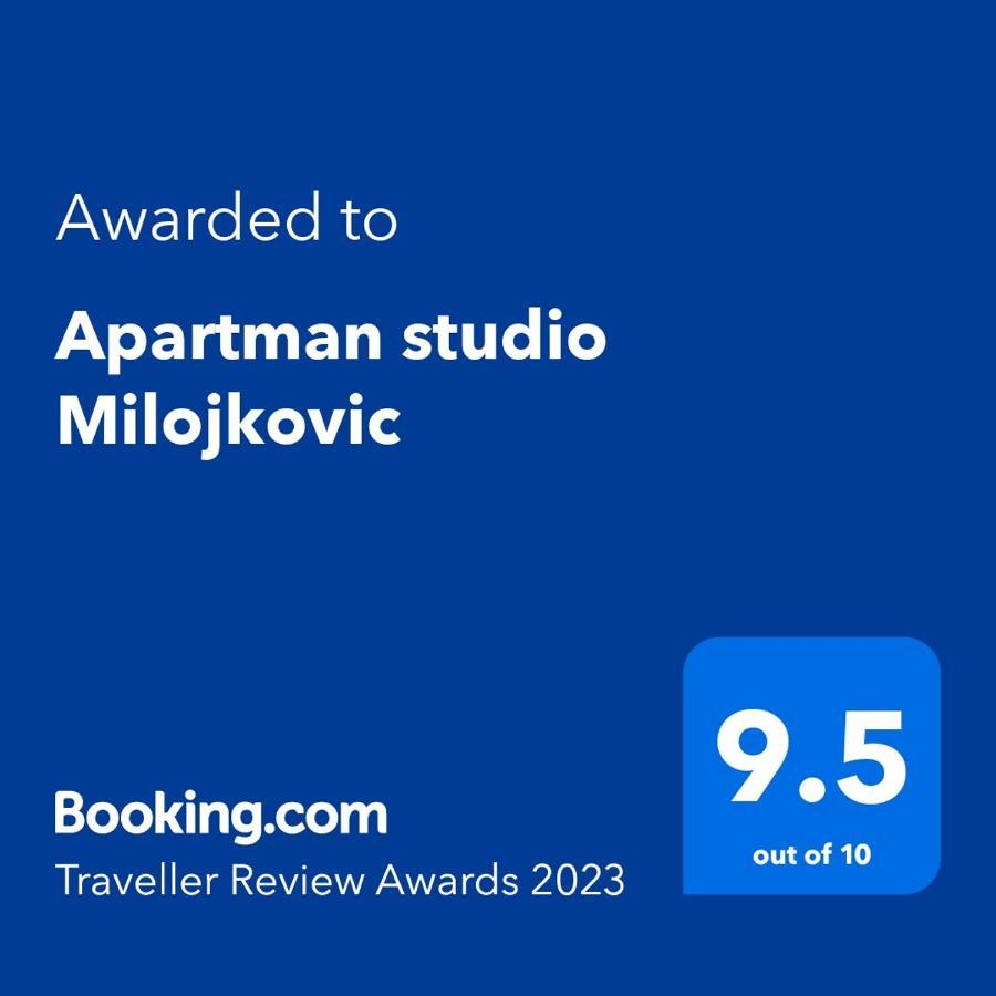 Apartman Studio Milojkovic Golubac Exterior foto